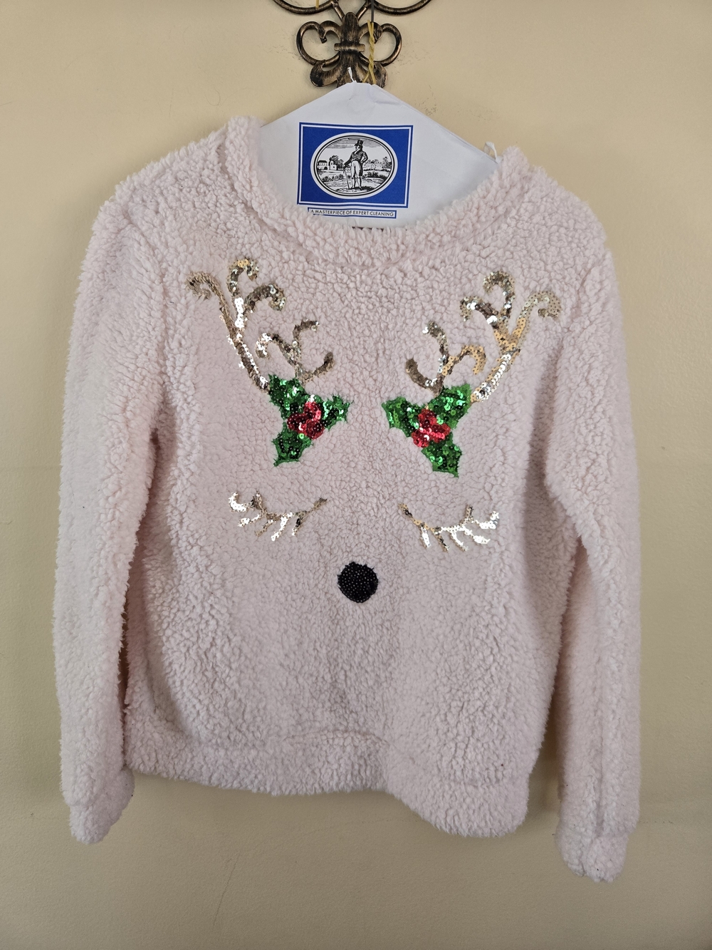 Chance or Fate Soft Pink Sherpa Knit Pullover
